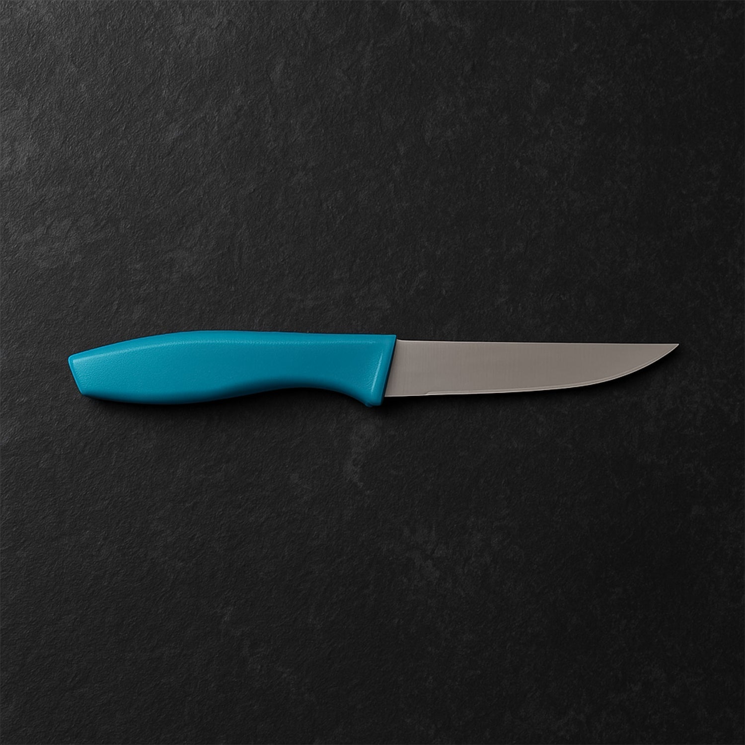 Professional Stainless Steel Paring Knife Professional Stainless Steel Paring Knife